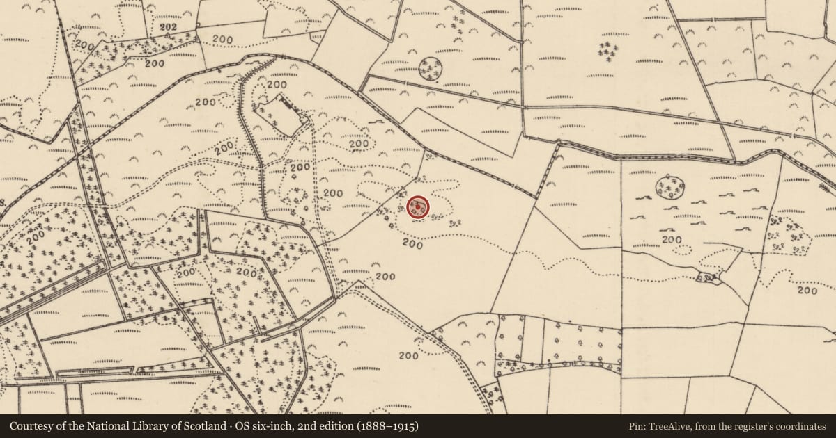 Ordnance Survey six-inch map, 2nd edition (1888–1915) covering the location of Designed landscape - tree-ring, Faddan More, County Tipperary North, with a pin at the register's coordinates