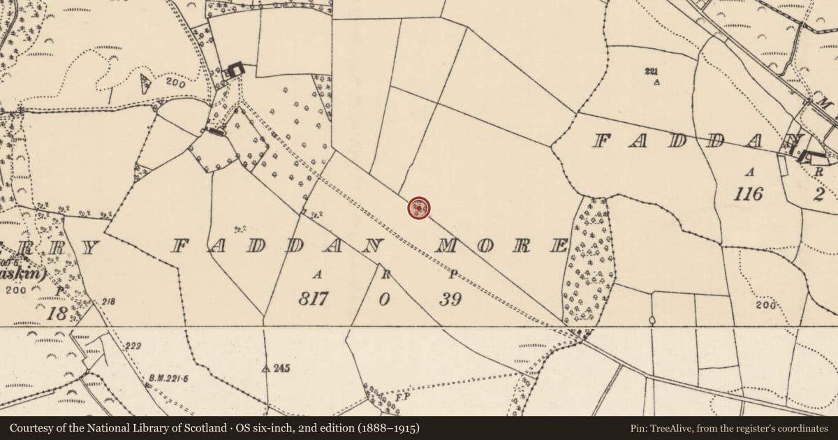 Ordnance Survey six-inch map, 2nd edition (1888–1915) covering the location of Designed landscape - tree-ring, Faddan More, County Tipperary North, with a pin at the register's coordinates