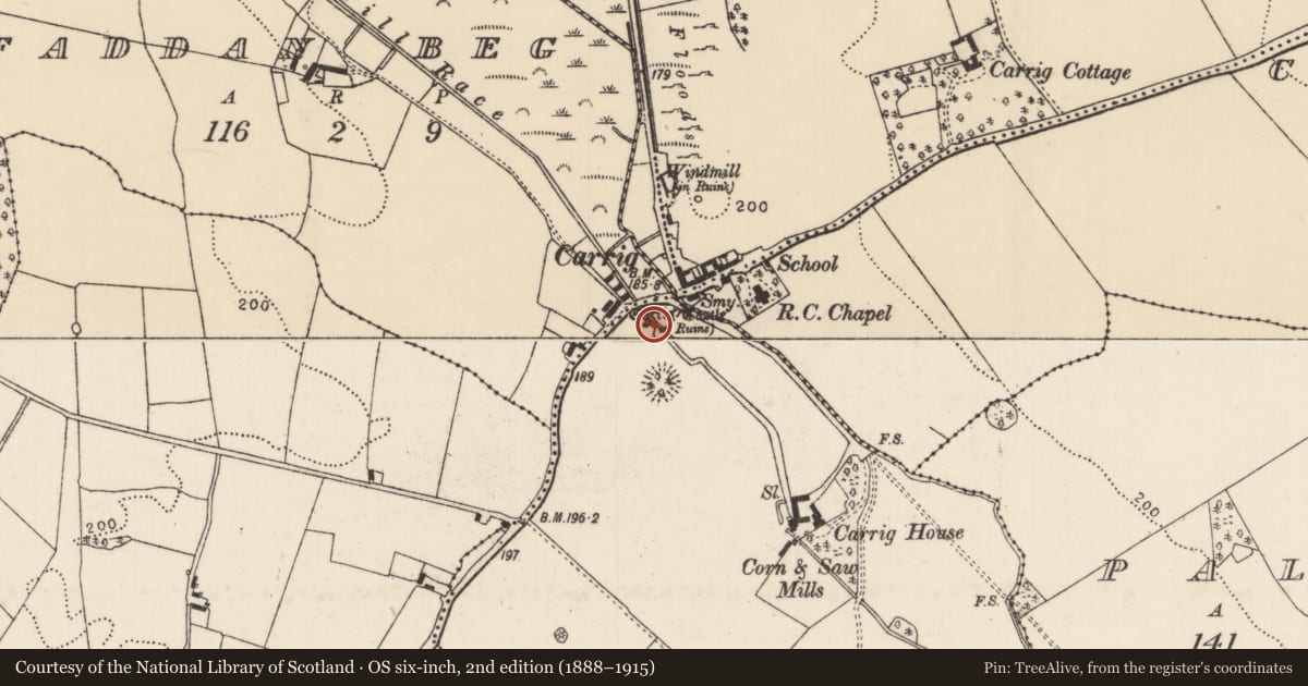 Ordnance Survey six-inch map, 2nd edition (1888–1915) covering the location of Castle - unclassified, Doughkill, County Tipperary North, with a pin at the register's coordinates
