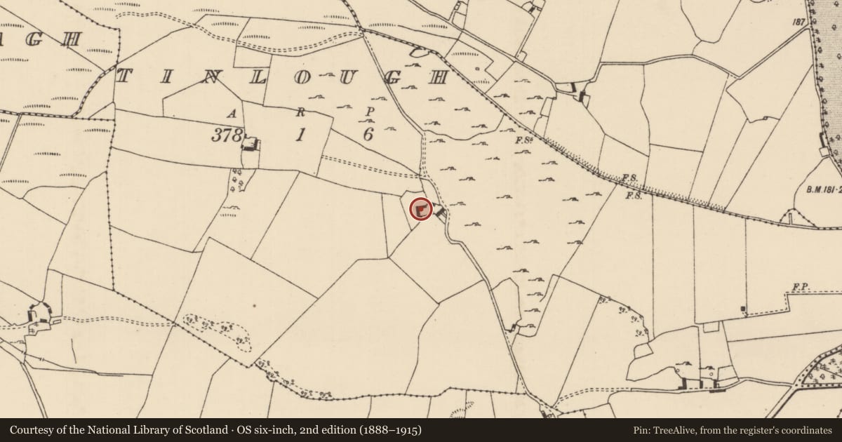 Ordnance Survey six-inch map, 2nd edition (1888–1915) covering the location of House - indeterminate date, Tinlough (Loughkeen Par.), County Tipperary North, with a pin at the register's coordinates