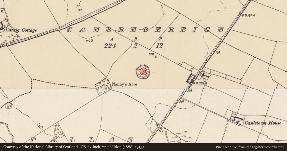 Ordnance Survey six-inch map, 2nd edition (1888–1915) covering the location of Ringfort - rath, Caherhoereigh, County Tipperary North, with a pin at the register's coordinates
