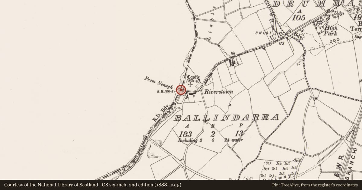 Ordnance Survey six-inch map, 2nd edition (1888–1915) covering the location of Bridge, Ballyloughnane, County Tipperary North, with a pin at the register's coordinates
