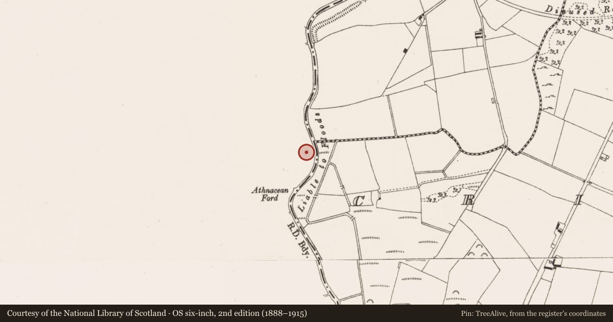 Ordnance Survey six-inch map, 2nd edition (1888–1915) covering the location of Burial, Tinnakilly (Loughkeen Par.), County Tipperary North, with a pin at the register's coordinates