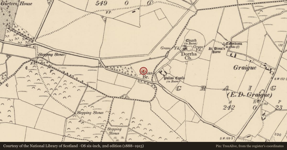 Ordnance Survey six-inch map, 2nd edition (1888–1915) covering the location of Moated site, Gurteen (Dorrha Par.), County Tipperary North, with a pin at the register's coordinates