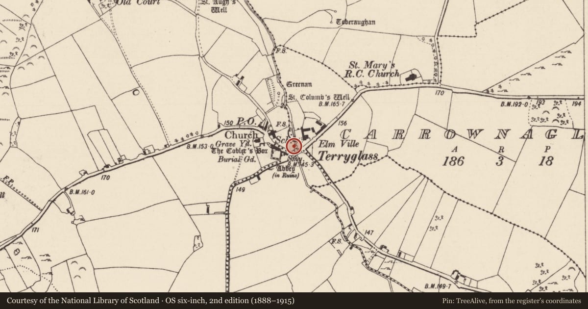 Ordnance Survey six-inch map, 2nd edition (1888–1915) covering the location of Historic town, County Tipperary North, with a pin at the register's coordinates