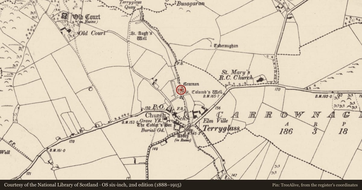 Ordnance Survey six-inch map, 2nd edition (1888–1915) covering the location of Ritual site - holy well, Carrownaglogh, County Tipperary North, with a pin at the register's coordinates
