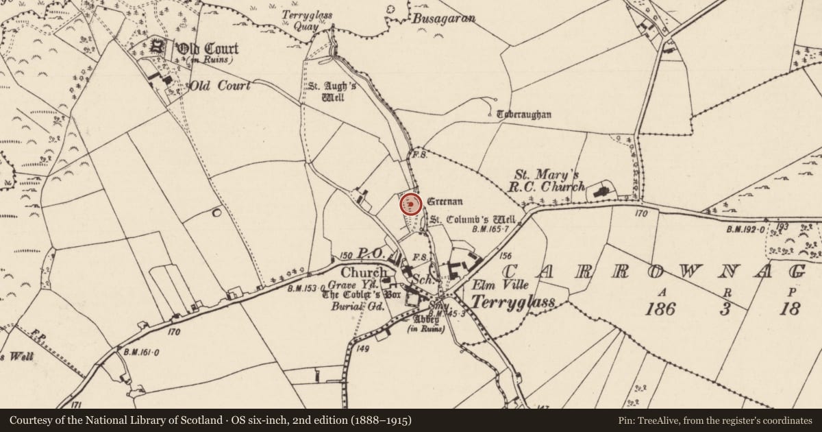 Ordnance Survey six-inch map, 2nd edition (1888–1915) covering the location of Linear earthwork, Carrownaglogh, County Tipperary North, with a pin at the register's coordinates