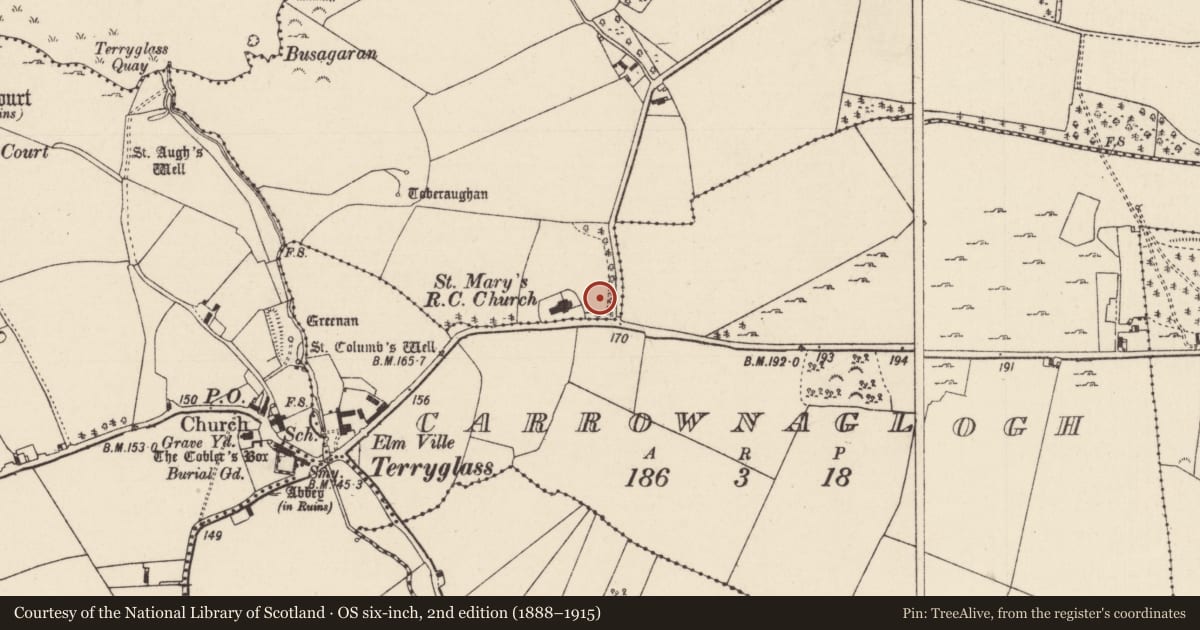 Ordnance Survey six-inch map, 2nd edition (1888–1915) covering the location of Cross - High cross, Slevoir, County Tipperary North, with a pin at the register's coordinates