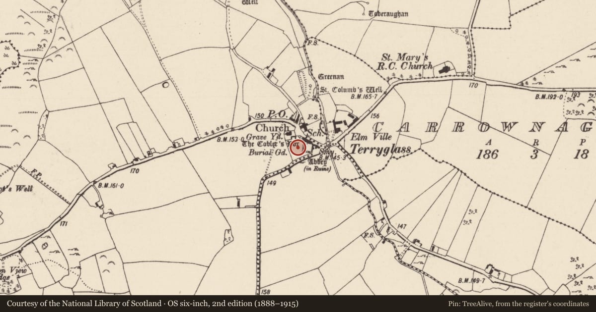 Ordnance Survey six-inch map, 2nd edition (1888–1915) covering the location of Decorated stone, Terryglass, County Tipperary North, with a pin at the register's coordinates