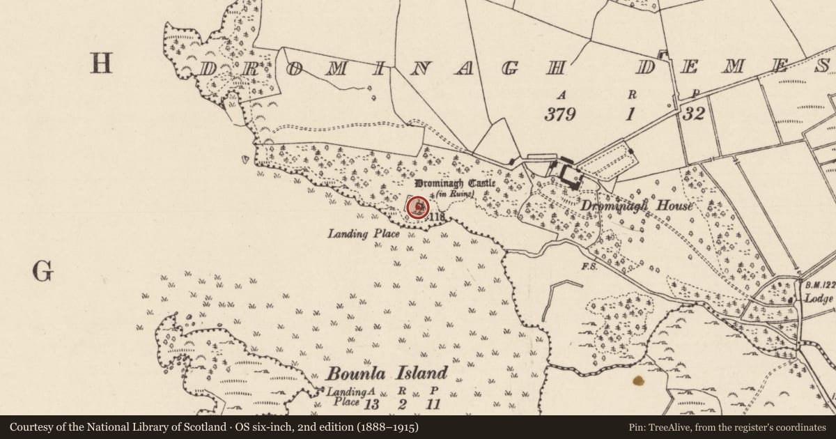 Ordnance Survey six-inch map, 2nd edition (1888–1915) covering the location of Castle - tower house, Drominagh Demesne, County Tipperary North, with a pin at the register's coordinates