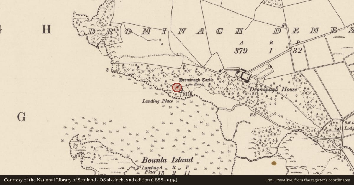 Ordnance Survey six-inch map, 2nd edition (1888–1915) covering the location of Bawn, Drominagh Demesne, County Tipperary North, with a pin at the register's coordinates