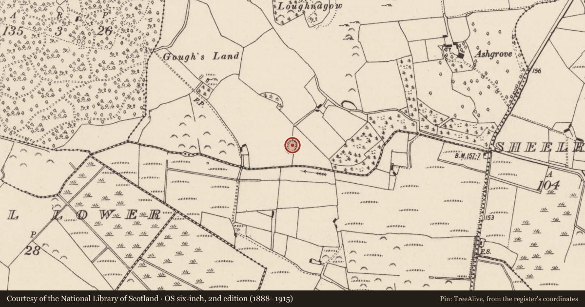 Ordnance Survey six-inch map, 2nd edition (1888–1915) covering the location of Enclosure, Terryglass, County Tipperary North, with a pin at the register's coordinates