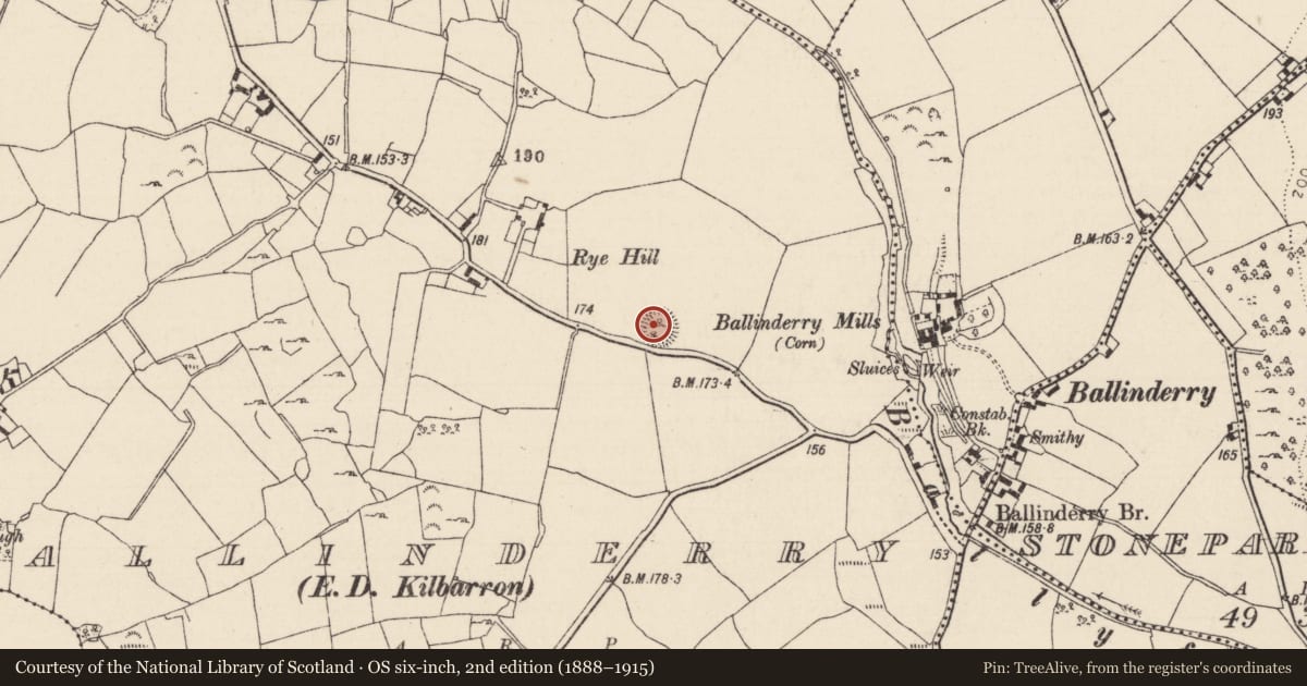Ordnance Survey six-inch map, 2nd edition (1888–1915) covering the location of Enclosure, Ballinderry (Kilbarron Par.), County Tipperary North, with a pin at the register's coordinates