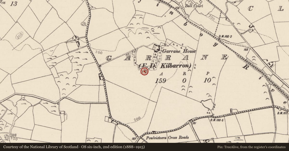 Ordnance Survey six-inch map, 2nd edition (1888–1915) covering the location of Ringfort - cashel, Garrane (Kilbarron Par.), County Tipperary North, with a pin at the register's coordinates