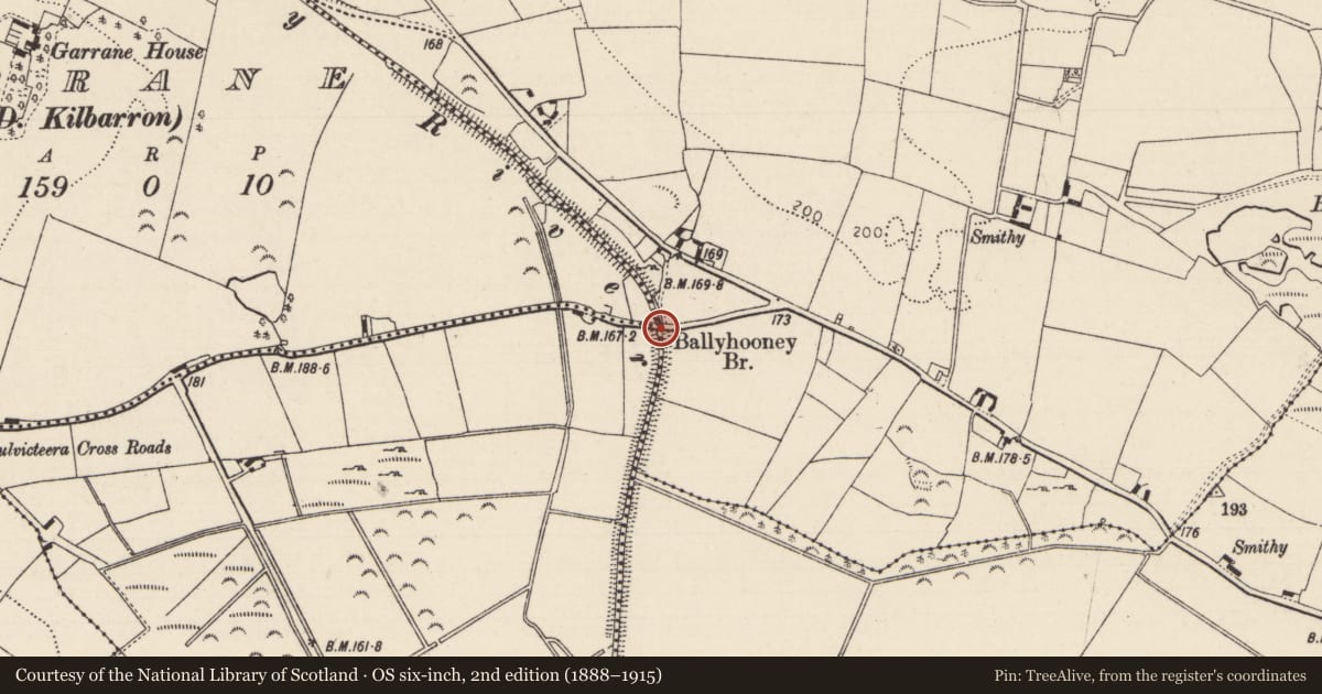 Ordnance Survey six-inch map, 2nd edition (1888–1915) covering the location of Ford, County Tipperary North, with a pin at the register's coordinates