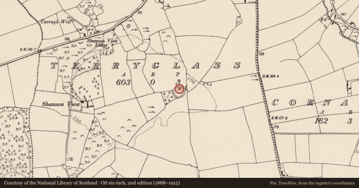 Ordnance Survey six-inch map, 2nd edition (1888–1915) covering the location of Ringfort - rath, Terryglass, County Tipperary North, with a pin at the register's coordinates