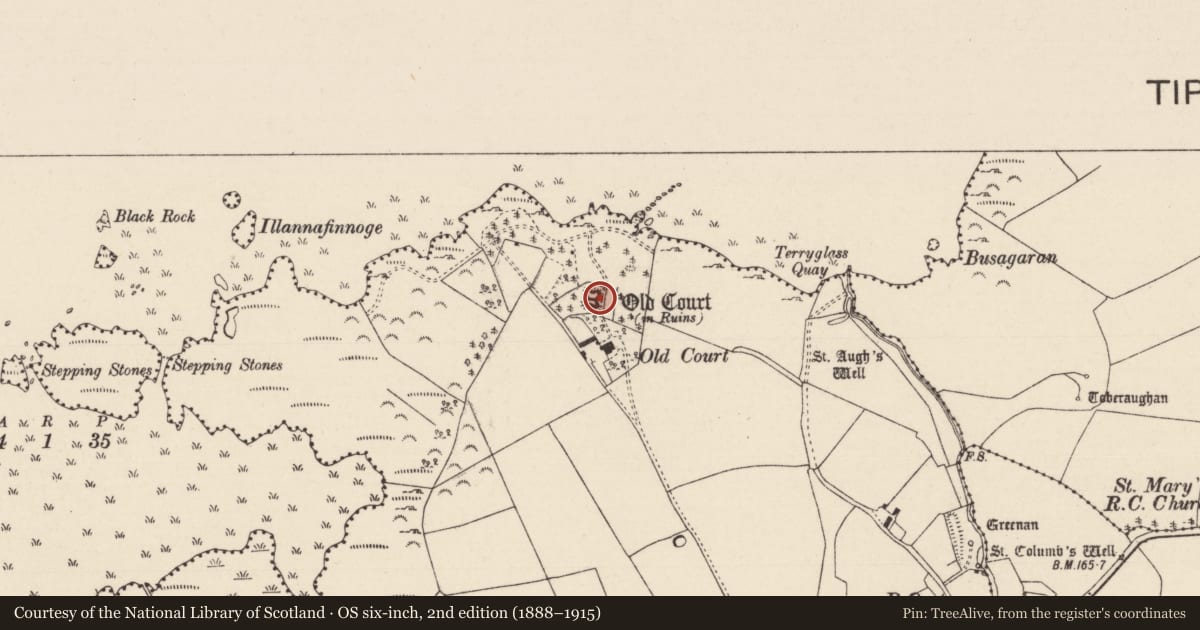 Ordnance Survey six-inch map, 2nd edition (1888–1915) covering the location of Castle - Anglo-Norman masonry castle, Terryglass, County Tipperary North, with a pin at the register's coordinates