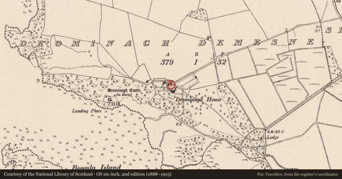 Ordnance Survey six-inch map, 2nd edition (1888–1915) covering the location of House - 18th/19th century, Drominagh Demesne, County Tipperary North, with a pin at the register's coordinates