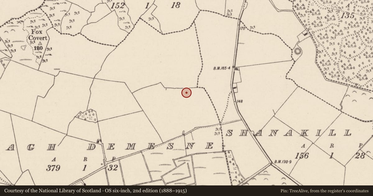 Ordnance Survey six-inch map, 2nd edition (1888–1915) covering the location of Enclosure, Drominagh Demesne, County Tipperary North, with a pin at the register's coordinates