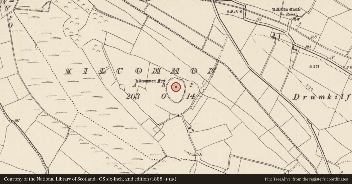Ordnance Survey six-inch map, 2nd edition (1888–1915) covering the location of Enclosure, Kilcommon (Aglishcloghane Par.), County Tipperary North, with a pin at the register's coordinates