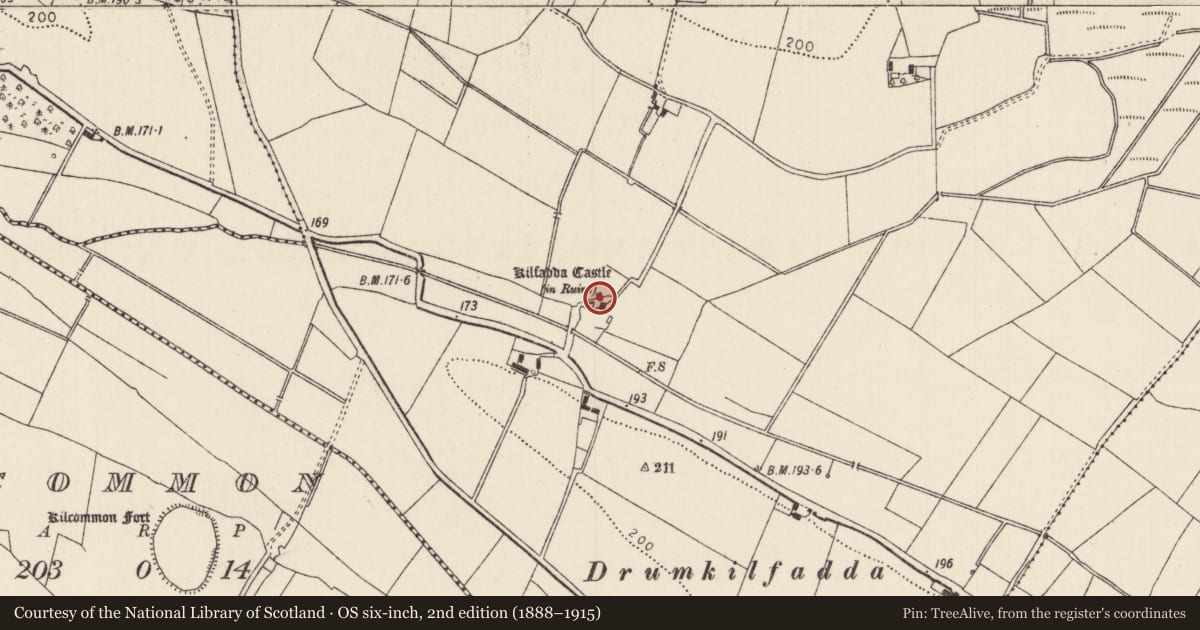 Ordnance Survey six-inch map, 2nd edition (1888–1915) covering the location of Castle - Anglo-Norman masonry castle, Kilfadda, County Tipperary North, with a pin at the register's coordinates