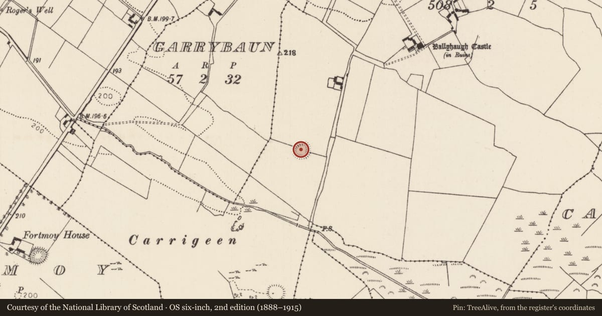 Ordnance Survey six-inch map, 2nd edition (1888–1915) covering the location of Ringfort - rath, Ballyhaugh, County Tipperary North, with a pin at the register's coordinates