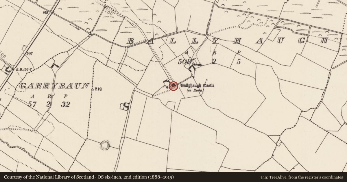 Ordnance Survey six-inch map, 2nd edition (1888–1915) covering the location of Castle - tower house, Ballyhaugh, County Tipperary North, with a pin at the register's coordinates