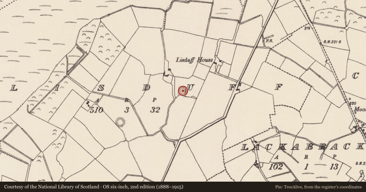 Ordnance Survey six-inch map, 2nd edition (1888–1915) covering the location of Moated site, Lisduff (Aglishcloghane Par.), County Tipperary North, with a pin at the register's coordinates