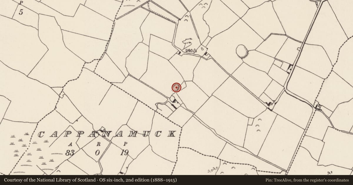 Ordnance Survey six-inch map, 2nd edition (1888–1915) covering the location of Enclosure, Lisduff (Aglishcloghane Par.), County Tipperary North, with a pin at the register's coordinates