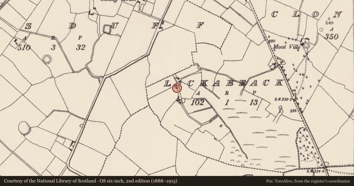 Ordnance Survey six-inch map, 2nd edition (1888–1915) covering the location of Mound, Lackabrack (Aglishcloghane Par.), County Tipperary North, with a pin at the register's coordinates