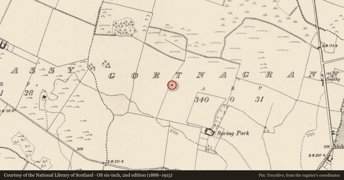 Ordnance Survey six-inch map, 2nd edition (1888–1915) covering the location of Enclosure, Gortnagrann, County Tipperary North, with a pin at the register's coordinates