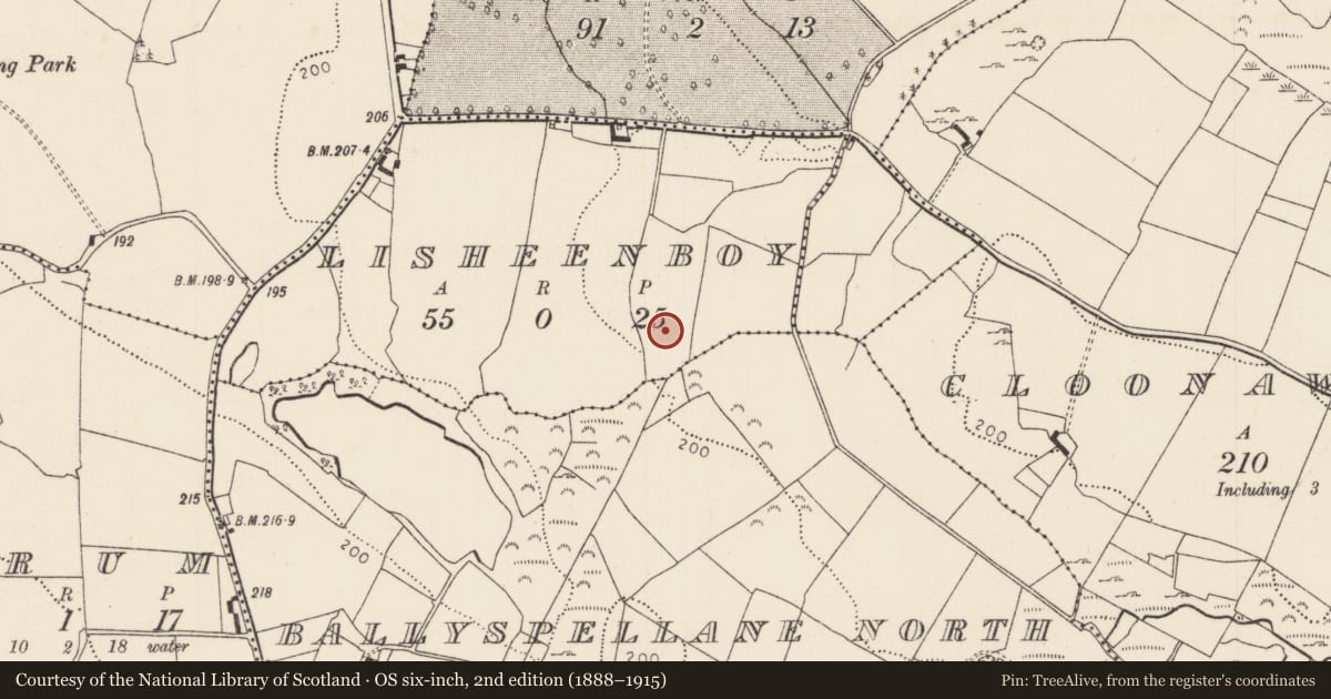 Ordnance Survey six-inch map, 2nd edition (1888–1915) covering the location of Cist, Lisheenboy, County Tipperary North, with a pin at the register's coordinates