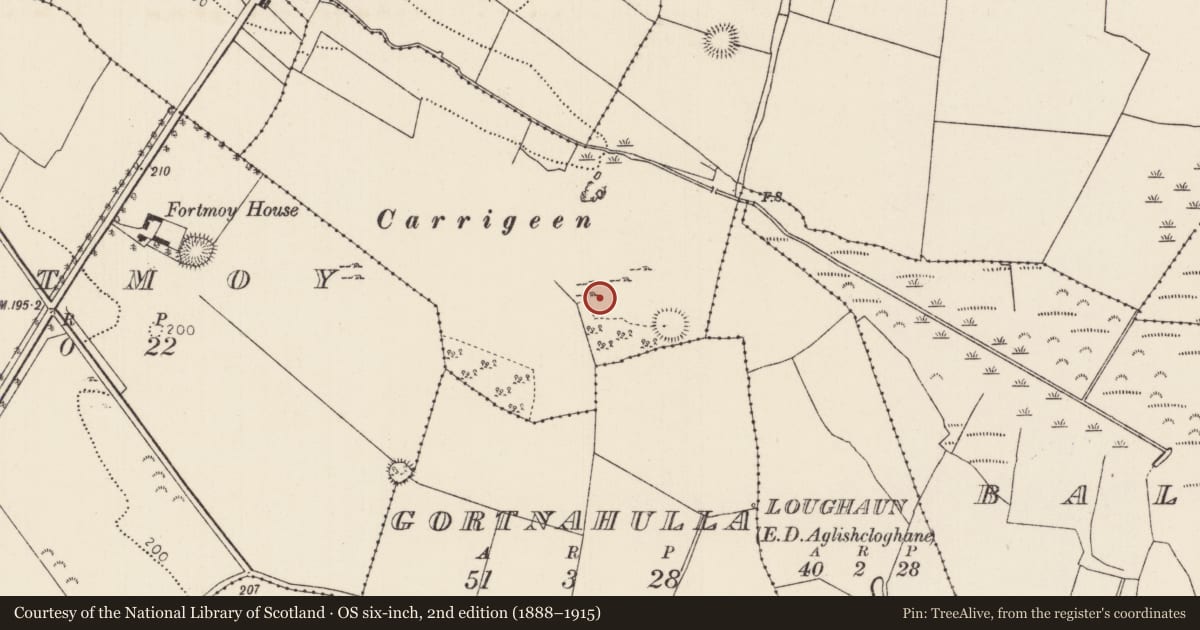 Ordnance Survey six-inch map, 2nd edition (1888–1915) covering the location of Enclosure, Ballyhaugh, County Tipperary North, with a pin at the register's coordinates