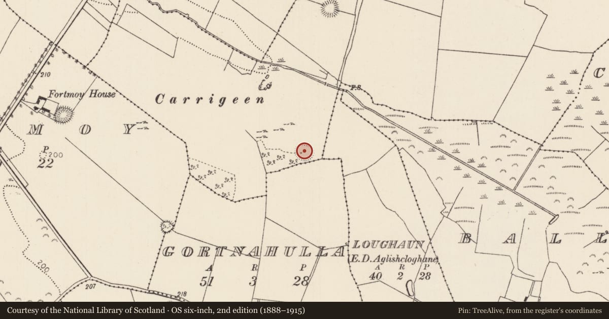 Ordnance Survey six-inch map, 2nd edition (1888–1915) covering the location of Ringfort - cashel, Ballyhaugh, County Tipperary North, with a pin at the register's coordinates