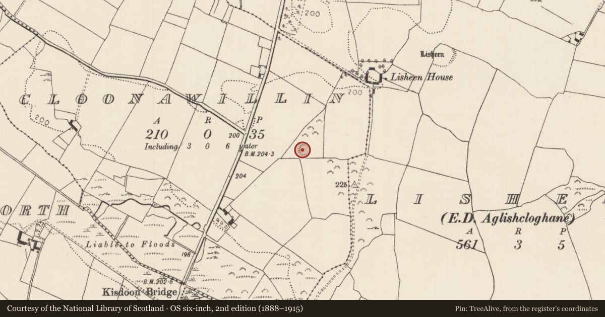 Ordnance Survey six-inch map, 2nd edition (1888–1915) covering the location of Enclosure, Cloonawillin, County Tipperary North, with a pin at the register's coordinates