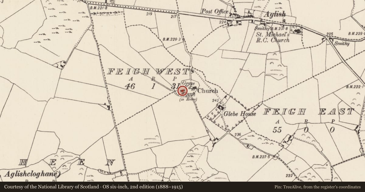 Ordnance Survey six-inch map, 2nd edition (1888–1915) covering the location of Church, Feigh, Feigh West, County Tipperary North, with a pin at the register's coordinates