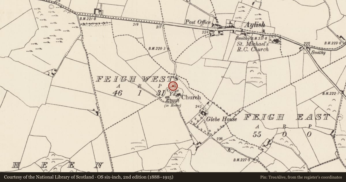 Ordnance Survey six-inch map, 2nd edition (1888–1915) covering the location of Ecclesiastical enclosure, County Tipperary North, with a pin at the register's coordinates