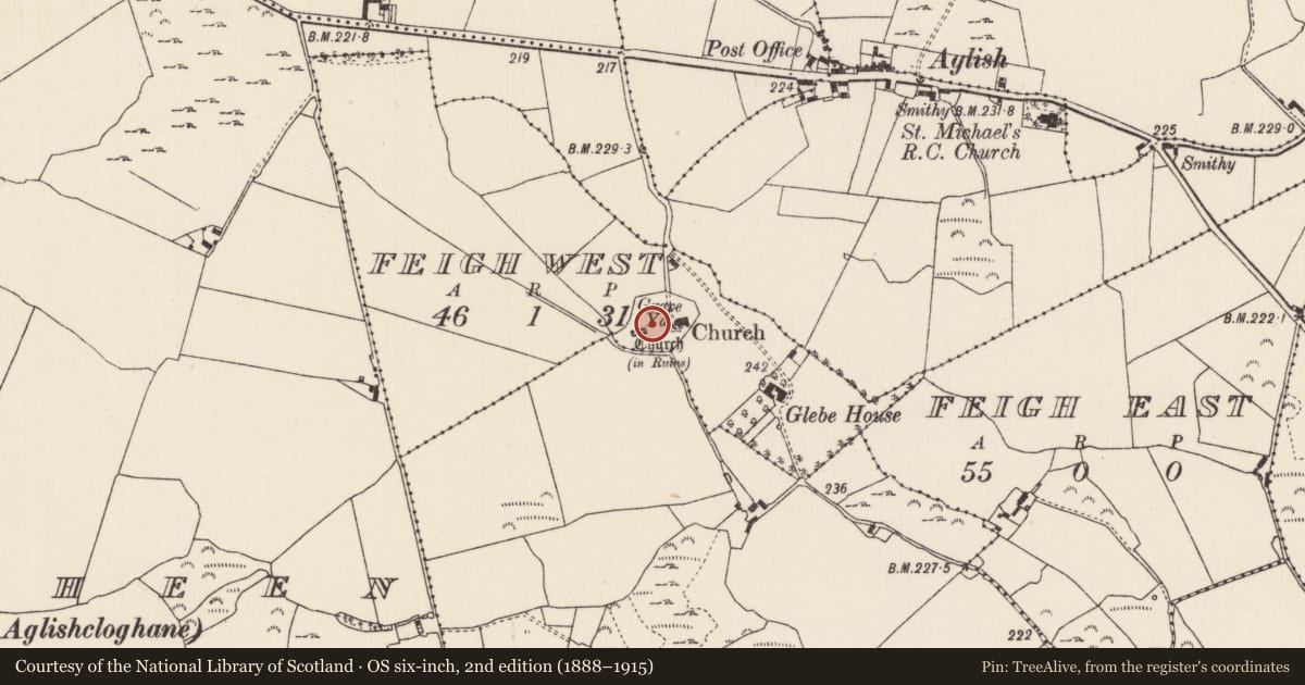 Ordnance Survey six-inch map, 2nd edition (1888–1915) covering the location of Graveyard, Feigh, Feigh West, County Tipperary North, with a pin at the register's coordinates