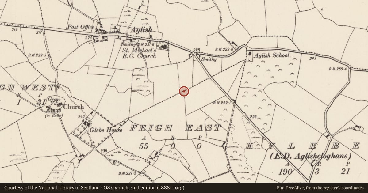 Ordnance Survey six-inch map, 2nd edition (1888–1915) covering the location of Enclosure, Feigh East, Lisheen (Aglishcloghane Par.), County Tipperary North, with a pin at the register's coordinates