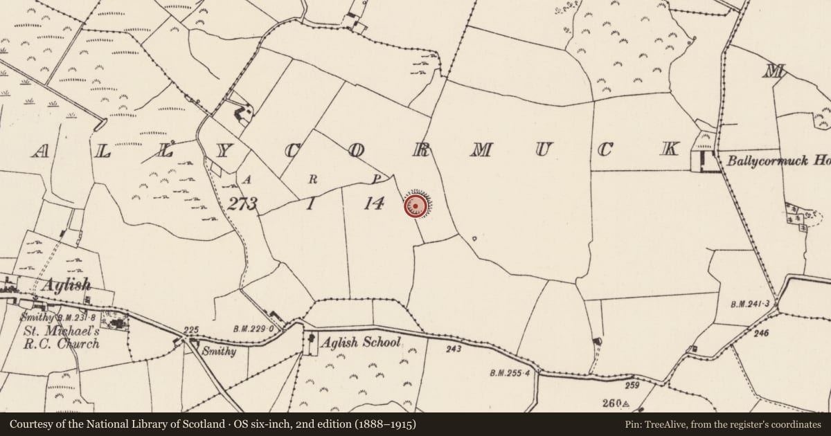 Ordnance Survey six-inch map, 2nd edition (1888–1915) covering the location of Ringfort - rath, Ballycormuck, County Tipperary North, with a pin at the register's coordinates