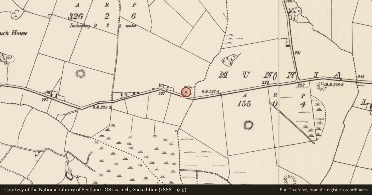 Ordnance Survey six-inch map, 2nd edition (1888–1915) covering the location of Enclosure, Munlusk, County Tipperary North, with a pin at the register's coordinates
