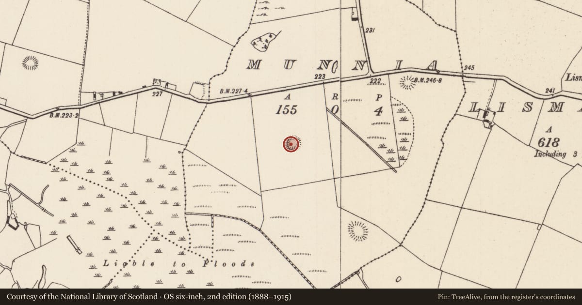 Ordnance Survey six-inch map, 2nd edition (1888–1915) covering the location of Enclosure, Munnia (Ballingarry Par., North Riding), County Tipperary North, with a pin at the register's coordinates