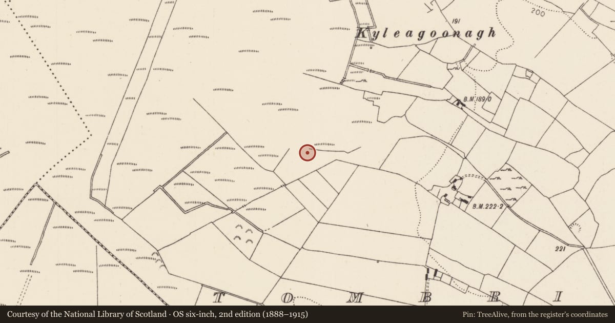 Ordnance Survey six-inch map, 2nd edition (1888–1915) covering the location of Fulacht fia, Tombrickane, County Tipperary North, with a pin at the register's coordinates