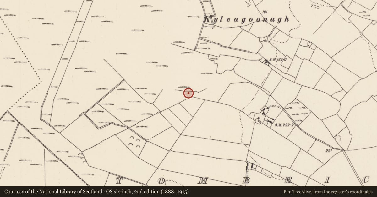 Ordnance Survey six-inch map, 2nd edition (1888–1915) covering the location of Fulacht fia, Tombrickane, County Tipperary North, with a pin at the register's coordinates