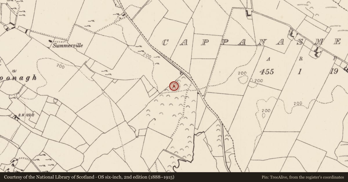 Ordnance Survey six-inch map, 2nd edition (1888–1915) covering the location of Enclosure, Tombrickane, County Tipperary North, with a pin at the register's coordinates