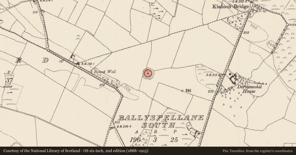 Ordnance Survey six-inch map, 2nd edition (1888–1915) covering the location of Ringfort - rath, Ballyspellane South, County Tipperary North, with a pin at the register's coordinates