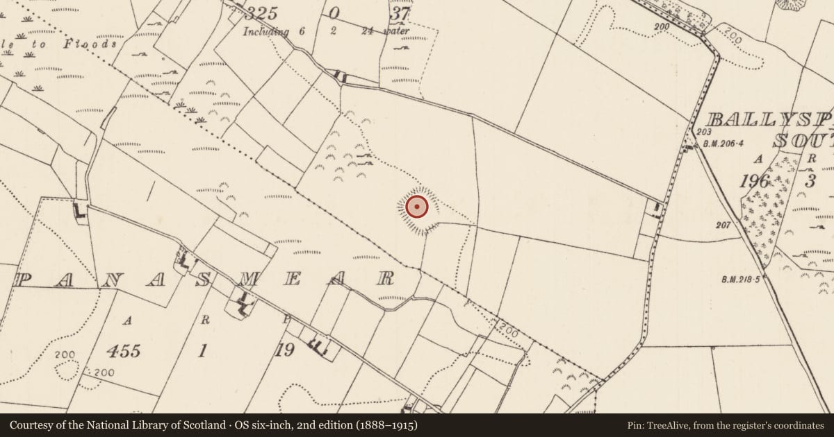 Ordnance Survey six-inch map, 2nd edition (1888–1915) covering the location of Enclosure, Garryard (Terryglass Par.), County Tipperary North, with a pin at the register's coordinates