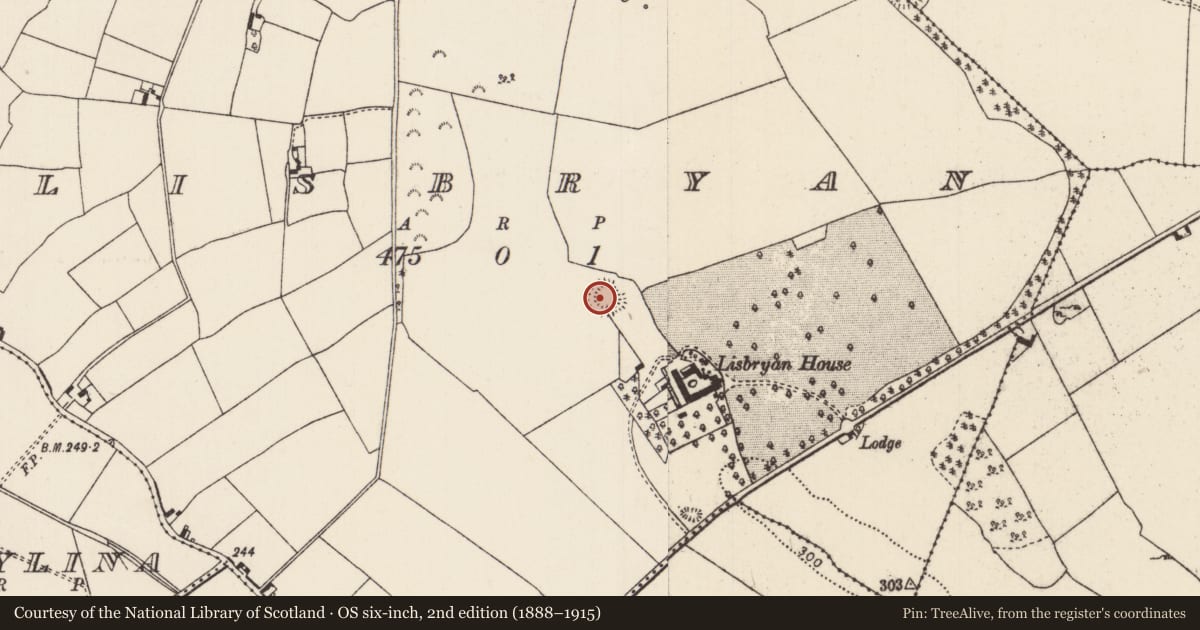 Ordnance Survey six-inch map, 2nd edition (1888–1915) covering the location of Ringfort - rath, Lisbryan (Aglishcloghane Par.), County Tipperary North, with a pin at the register's coordinates