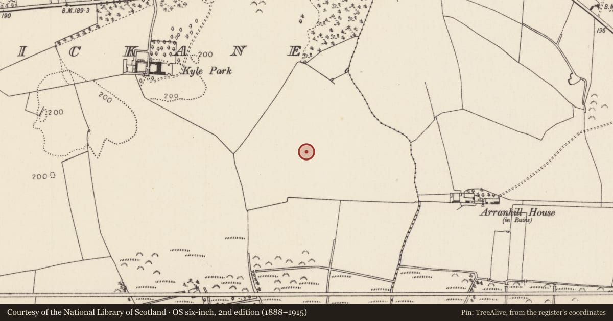 Ordnance Survey six-inch map, 2nd edition (1888–1915) covering the location of Ritual site - holy tree/bush, Kyletombrickane, County Tipperary North, with a pin at the register's coordinates