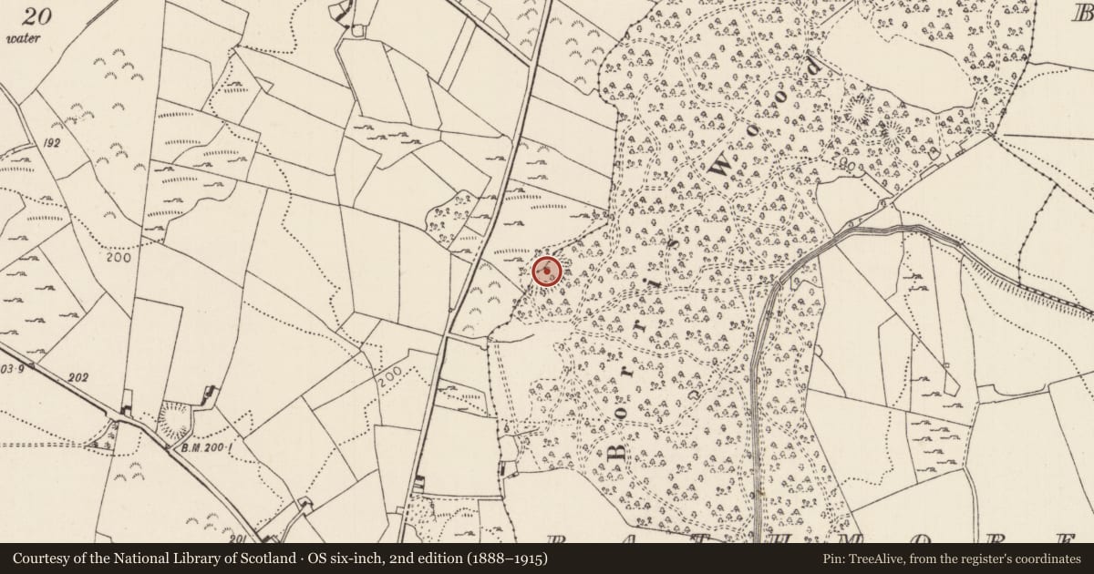 Ordnance Survey six-inch map, 2nd edition (1888–1915) covering the location of Enclosure, Rathmore (Borrisokane Par.), Tombrickane, County Tipperary North, with a pin at the register's coordinates